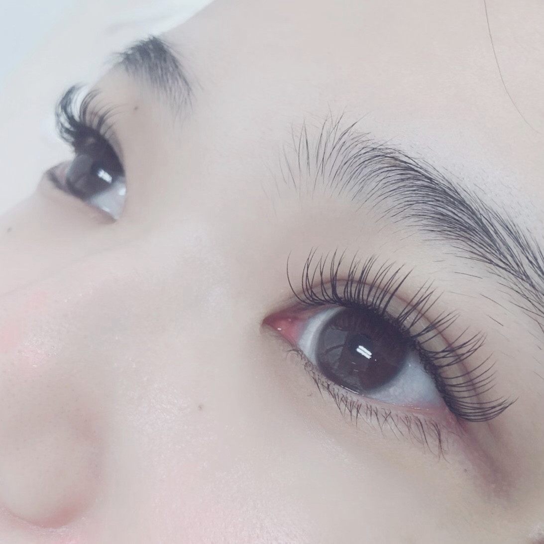 アップワードラッシュorラグリフ100本